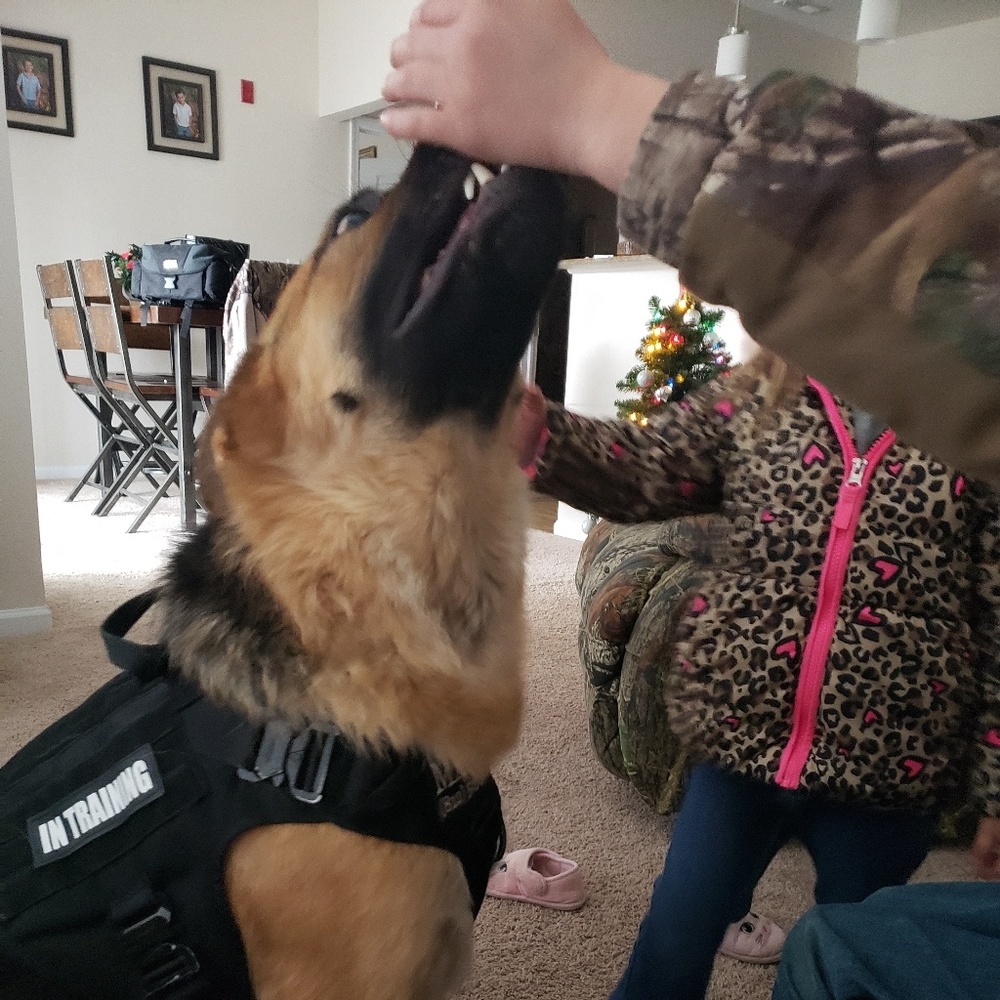 Meet your Posher, Michael